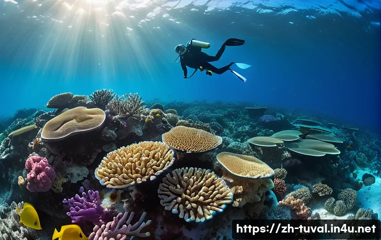 투발루 스쿠버다이빙 명소 - A vibrant underwater coral garden scene in the warm, clear waters of Tuvalu, showcasing diverse cora...
