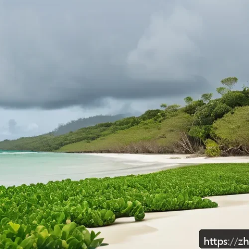투발루와 기후난민 문제 - A detailed coastal scene of a low-lying Pacific island village facing severe erosion: sandy beaches ...