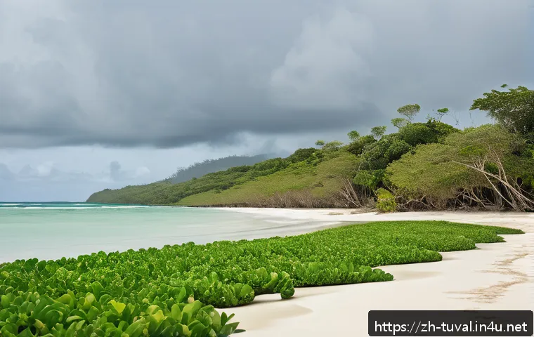 투발루와 기후난민 문제 - A detailed coastal scene of a low-lying Pacific island village facing severe erosion: sandy beaches ...